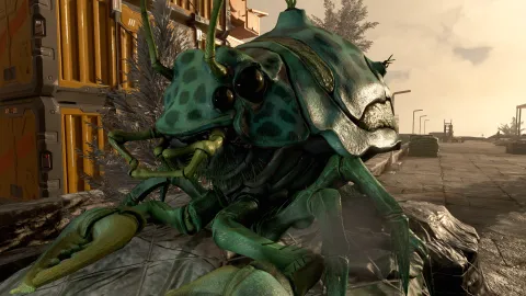 Creatures that liked sitting on piles of equipment at Aevi's Aerospace.