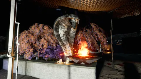 Project Viper location