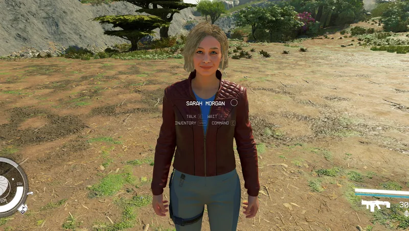 Entourage - Companion Overhaul